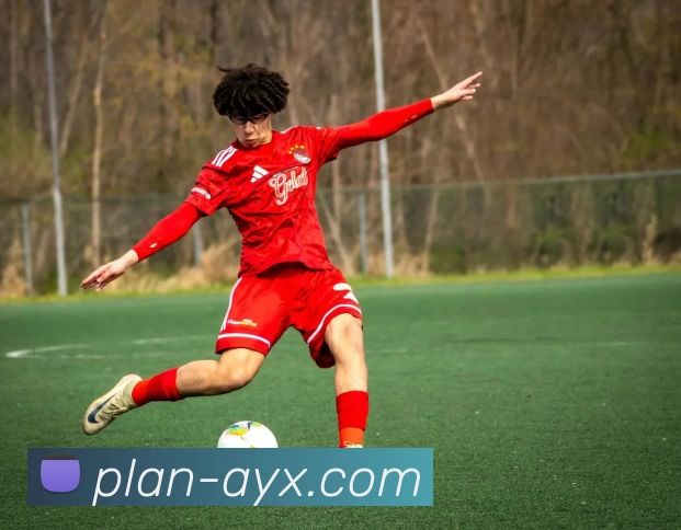 爱游戏品牌故事