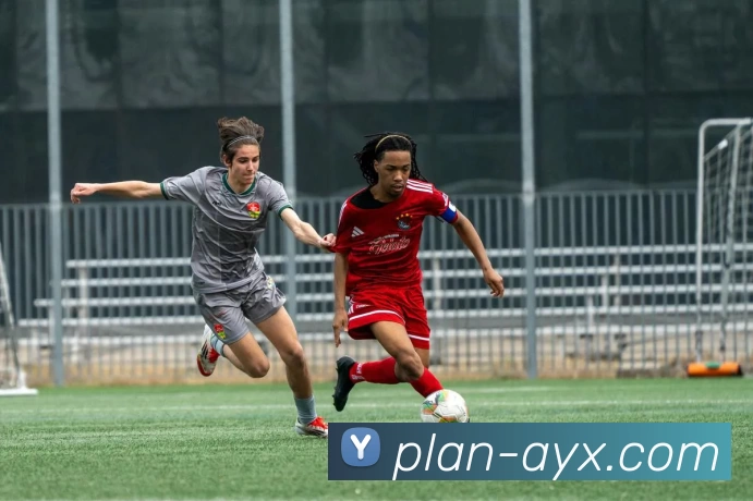 爱游戏服务体系